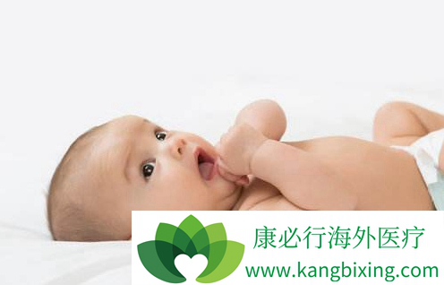 试管供卵公司